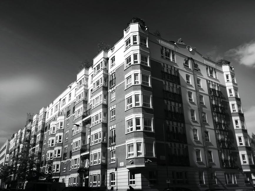 Exterior view of a four-story brick building with several white-framed windows, located on a street with pavement and marked parking spaces. Shadows of leafless trees are cast onto the building's faca